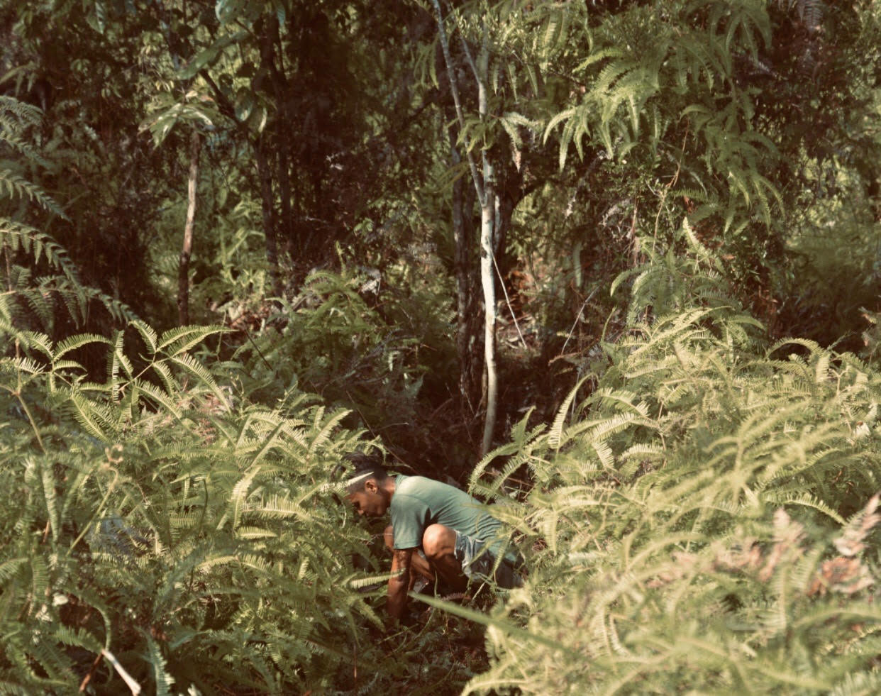 Indonesian man planting a tree