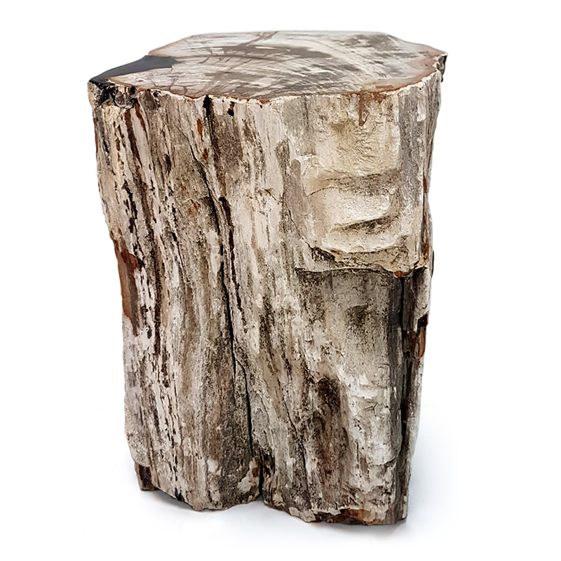Drift | Petrified teak stool