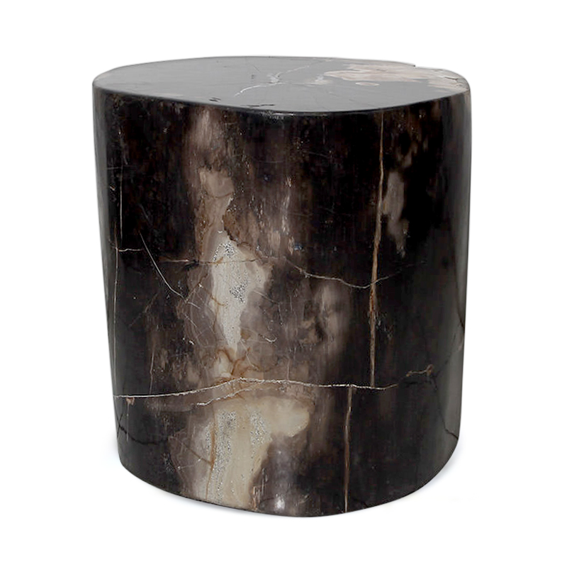 Stone | Petrified teak stool